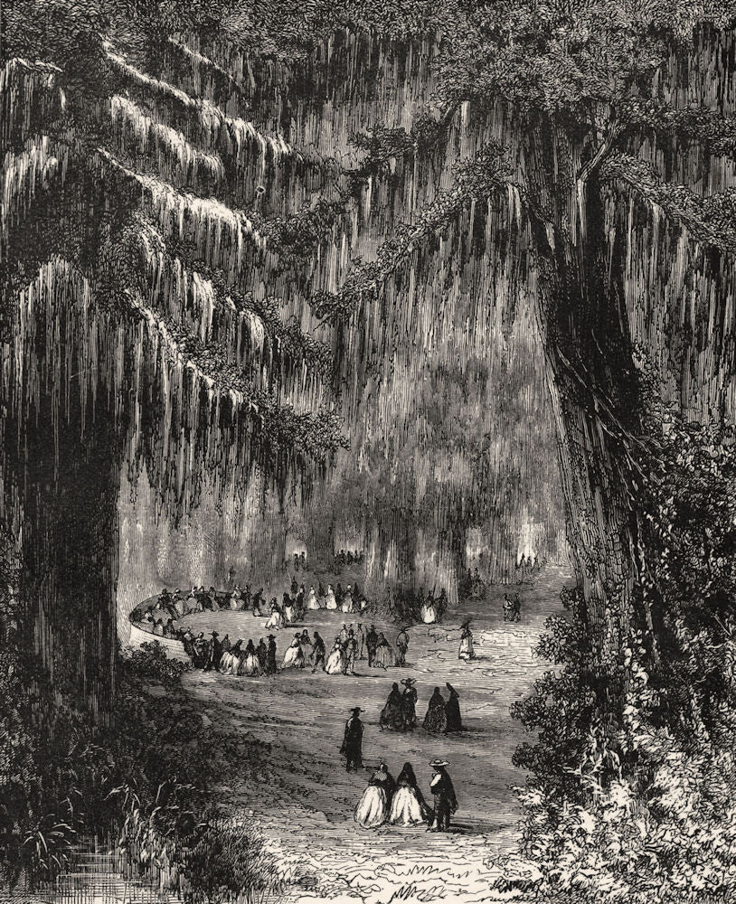 MEXICO. Cypress Grove of Chapultepec c1880 old antique vintage print picture